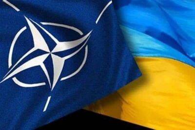 Стало відомо, коли розпочнеться обговорення членства України в НАТО
