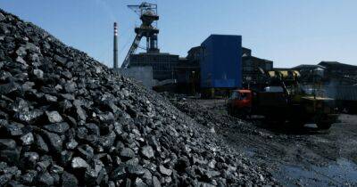 Оккупация ЗАЭС: Украина вынуждена сжигать дополнительные объемы угля для работы энергосистемы - focus.ua - Россия - Украина
