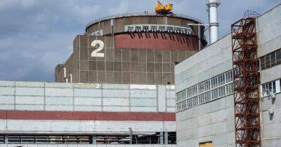 ВС РФ заминировали два энергоблока Запорожской АЭС, - Плачков (видео)