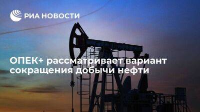 Bloomberg: ОПЕК+ рассматривает сокращение добычи нефти на два миллиона баррелей в сутки