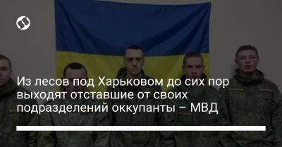 Из лесов под Харьковом до сих пор выходят отставшие от своих подразделений оккупанты – МВД