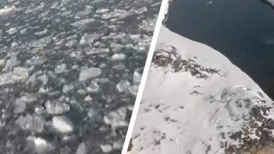 Украинские полярники показали Антарктиду с высоты птичьего полета: потрясающее видео с дрона