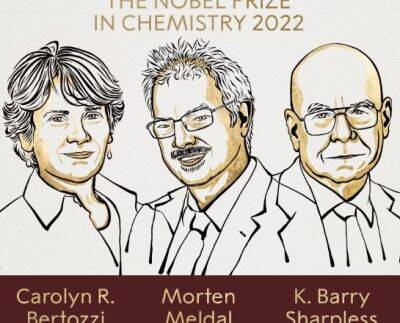 Нобелевская премия-2022: названы лауреаты в области химии