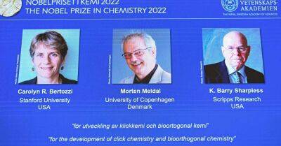 Нобелевскую премию по химии присудили за инструменты для создания молекул