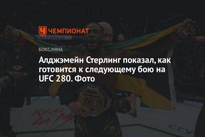 Алджэмейн Стерлинг показал, как готовится к следующему бою на UFC 280. Фото