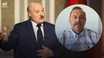 "Должен упасть в ноги американцам": Гудков предположил, какие у Лукашенко есть пути отступления