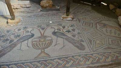 У стародавньому турецькому місті виявлено унікальні мозаїки (Фото)