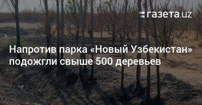 Напротив парка «Новый Узбекистан» подожгли свыше 500 деревьев