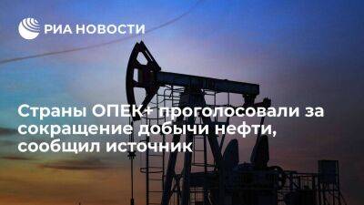 Источник: ОПЕК+ проголосовала за сокращение добычи нефти на два миллиона баррелей в сутки