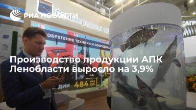 Производство продукции АПК Ленобласти выросло на 3,9%