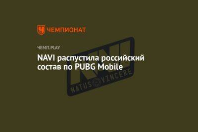 NAVI распустила российский состав по PUBG Mobile