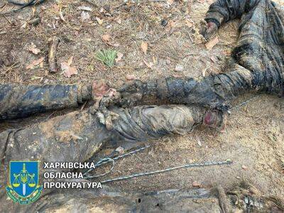 Замучил спецназ РФ: два трупа, скованные наручниками, нашли на Изюмщине (фото)