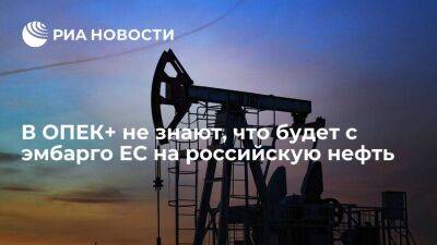 Саудовский министр: ОПЕК+ не знает, что будет с эмбарго на российскую нефть и потолком цен