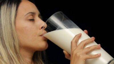 Нужно ли пить молоко: 4 причины, развеивающие все мифы