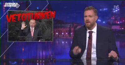 Эрдогана высмеяли в эфире шведского ток-шоу: Турция вызвала посла (видео)