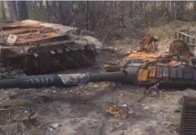 Морпехи ВСУ уничтожили три российских танка | Новости и события Украины и мира, о политике, здоровье, спорте и интересных людях
