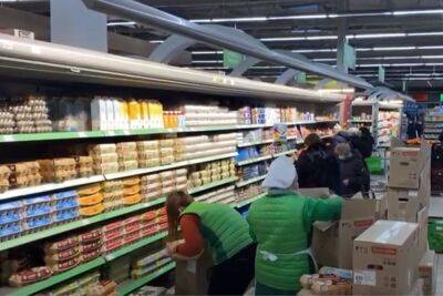 Яйца станут "золотыми" цены на популярный продукт в Украине побьют все рекорды – почем будет десяток