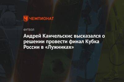 Андрей Канчельскис высказался о решении провести финал Кубка России в «Лужниках»