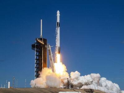 Сергей Прокопьев - Вильям Нельсон - Дмитрий Петелин - SpaceX отправила на МКС миссию Crew-5. Среди членов экипажа – россиянка - gordonua.com - Украина - Япония - Канада