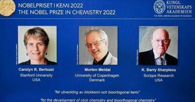 Нобелевская премия по химии 2022. Трое ученых создали химическое "Лего": в чем суть - focus.ua - США - Украина - Дания