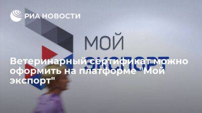 Вероника Никишина - Ветеринарный сертификат можно оформить на платформе "Мой экспорт" - smartmoney.one - Россия