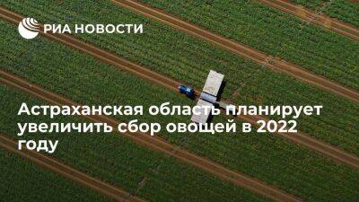 Астраханская область планирует увеличить сбор овощей в 2022 году