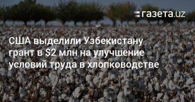 США выделили Узбекистану грант в $2 млн на улучшение условий труда в хлопководстве