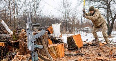 Дрова на зиму: сколько нужно и хватит ли древесины украинцам