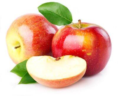 В Гессене идёт сбор урожая яблок 2022 года