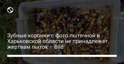 Зубные коронки с фото пыточной в Харьковской области не принадлежат жертвам пыток – Bild