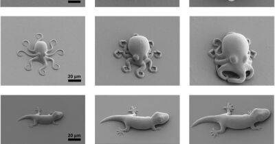 Ученые создали микроскопических существ из "умного" полимера: они растут и помнят (фото)