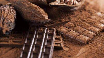 Полезно знать каждому: каковы 5 основных типов шоколада