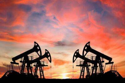Джо Байден: сокращение добычи нефти ОПЕК+ играет на руку России
