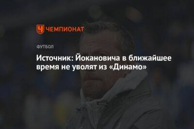 Источник: Йокановича в ближайшее время не уволят из «Динамо»