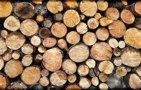Как выбрать дрова для обогрева помещения: советы экспертов