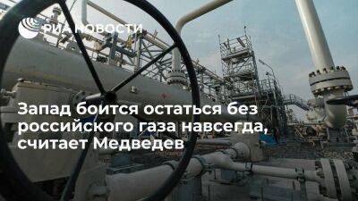 Зампред Совбеза Медведев считает, что Запад боится остаться без российского газа навсегда