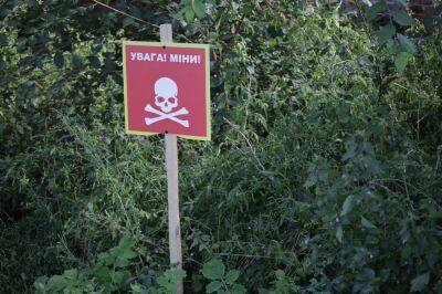 За сутки на Харьковщине уничтожили больше 1000 взрывоопасных предметов