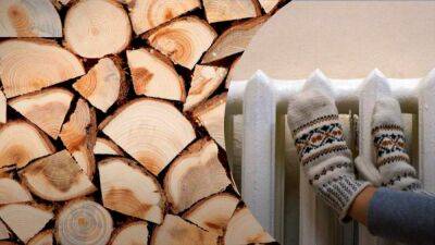 На отопительный сезон украинцы в некоторых областях смогут бесплатно получить дрова