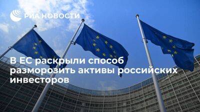 РБК: ЕС разрешил размораживать активы российских инвесторов для завершения контрактов