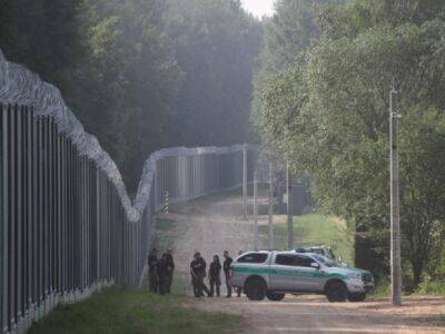 Литовские пограничники опубликовали, как белорусы портят стену на границе чтобы нелегально пересечь границу