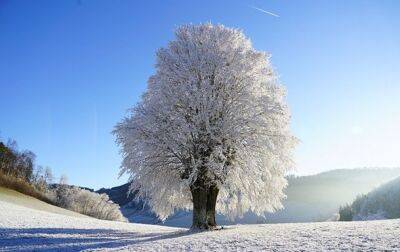 Укргидрометцентр прогнозирует "не суровую" зиму