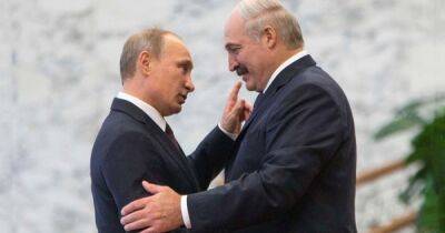 Владимир Путин - Александр Лукашенко - Стало известно, что Лукашенко подарил своему патрону Путину на юбилей - dsnews.ua - Украина - Санкт-Петербург