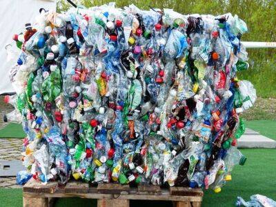 Вчені виявили тварину, яка може врятувати людство від забруднення пластиком