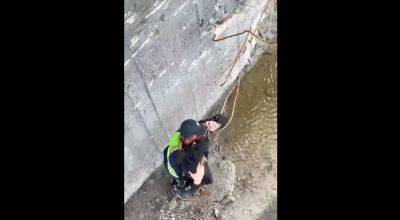 В Купянске достали собаку из дыры в разбомбленном мосту (видео)