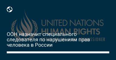 ООН назначит специального следователя по нарушениям прав человека в России