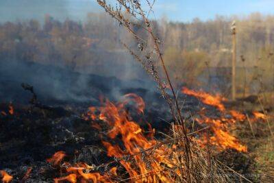 Несмотря на холодную погоду, на Гродненщине участились случаи загорания сухой растительности