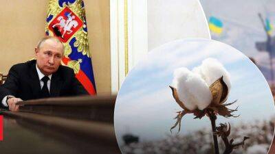 Как символически: Путин отмечает свой юбилей во Всемирный день хлопка