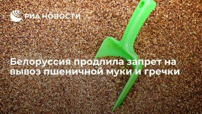 Правительство Белоруссии продлило на три месяца запрет на вывоз пшеничной муки и гречки