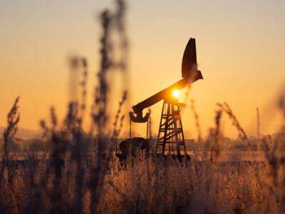 Нефть подскочила на 4% до 5-недельного максимума благодаря сокращению добычи ОПЕК+