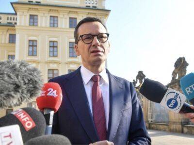 Премьер Польши предложил использовать замороженные российские активы на восстановление Украины и решение энергетического кризиса в ЕС